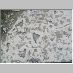 100_0920 (2009-27-07).JPG